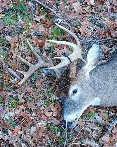 State land 11pt